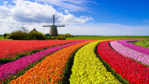 Holanda Florida com Bélgica e França